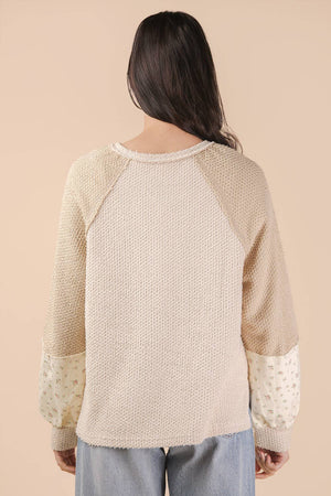 Cream Raglan Sleeve Color Block Casual Textured Knit Top
